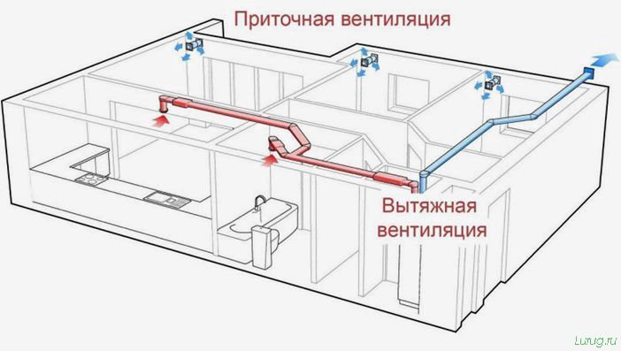 (баня, даче, планировка, проектирование, схемы) Баня на даче: планировка и проектирование, схемы, чертежи, утепление, обзор лучших вариантов для строительства своими руками