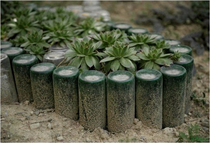 Клумба из бутылок — дизайн клумб своими руками, из пластиковых, стеклянных бутылок