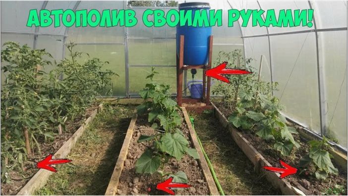 (зимняя, теплица, пошаговый, план, строительства) Зимняя теплица — пошаговый план строительства и возведения, схемы, чертежи, инструкция, устройство отопления