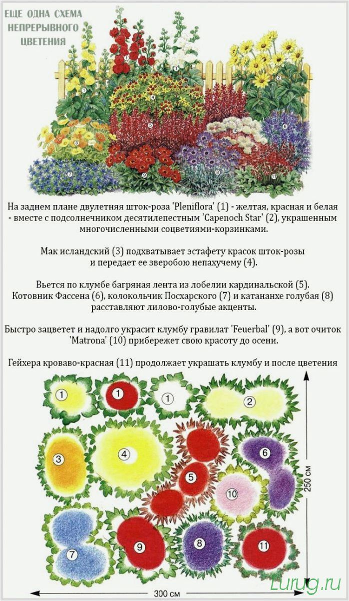 Клумбы своими руками: схемы посадки, варианты оформления и создания клумб, приподнятая, кольцевая
