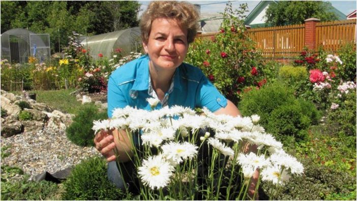 (многолетние, цветы, дачи, описание, названиями) Многолетние цветы для дачи: описание и названиями сортов, как вырастить, посадить, ухаживать, самые неприхотливые