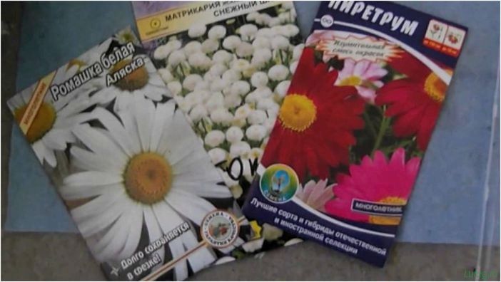 (многолетние, цветы, дачи, описание, названиями) Многолетние цветы для дачи: описание и названиями сортов, как вырастить, посадить, ухаживать, самые неприхотливые