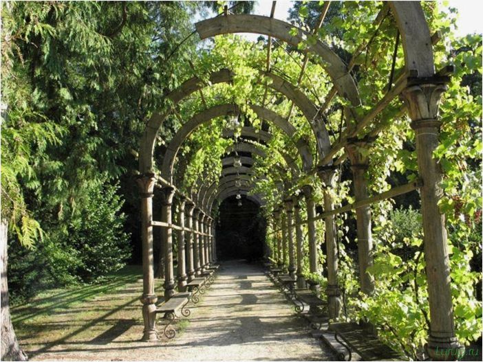 (садовая, арка, постройки, дворе) Садовая арка: постройки во дворе участка, что сделать вместо арки, технология производства