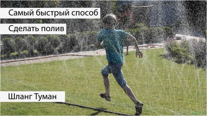 (шланг, дачи, выбрать, обзор) Шланг для дачи: как выбрать и какой. Обзор моделей, тканевые, из ПВХ, силиконовые