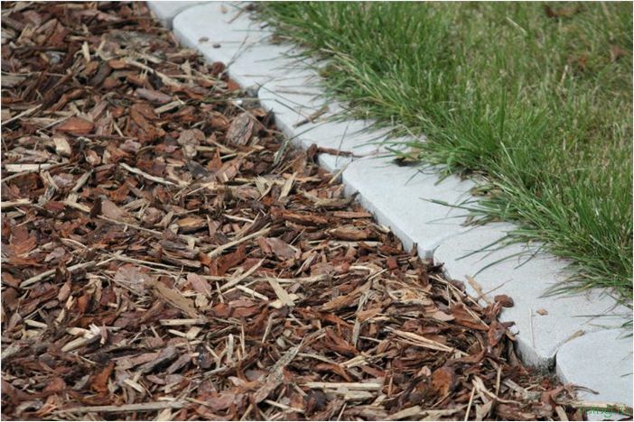 (декоративная, щепа, укладывать, покрасить) Декоративная щепа — как укладывать и как покрасить своими руками, применение в ландшафтном дизайне