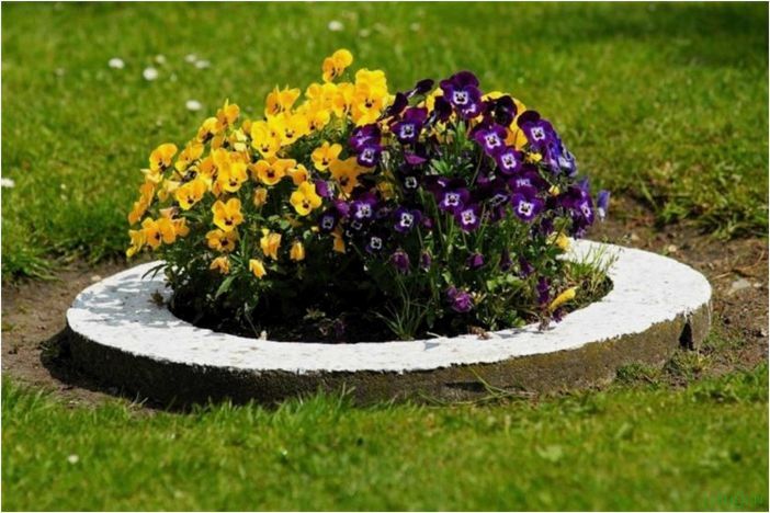 Как красиво оформить клумбу — обзор лучших идей, фото которые цветут все лето, схемы для начинающих