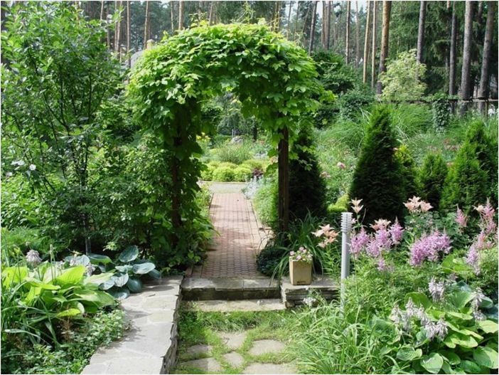(участок, соток, размещение, обустройство, ландшафтный, дизайн) Участок 6 соток: размещение, обустройство, ландшафтный дизайн своими руками