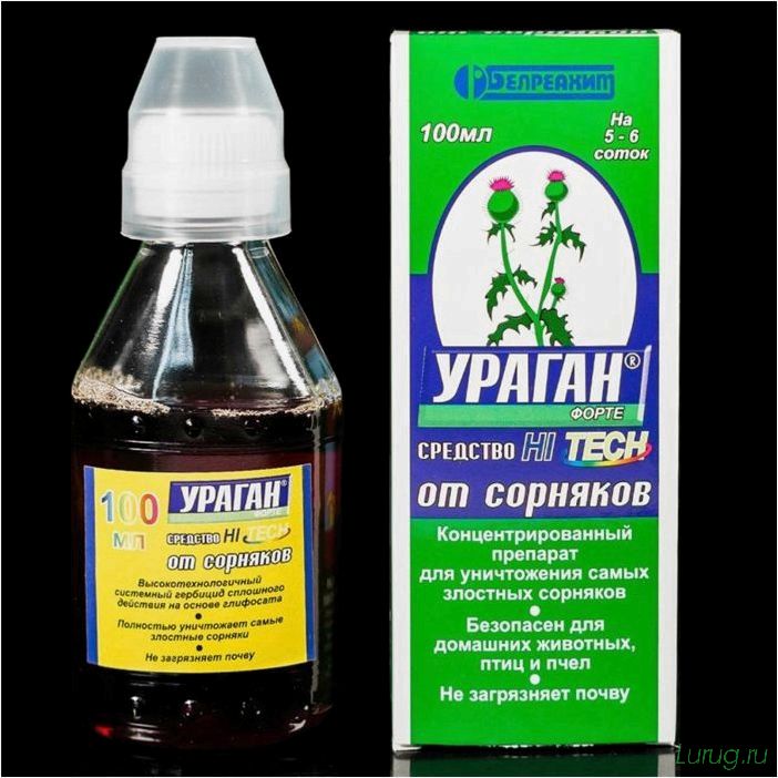 Лучшее средство от сорняков: какой препарат самый эффективный, простые химические средства борьбы
