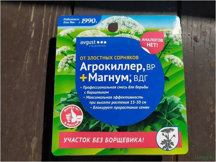 Лучшее средство от сорняков: какой препарат самый эффективный, простые химические средства борьбы