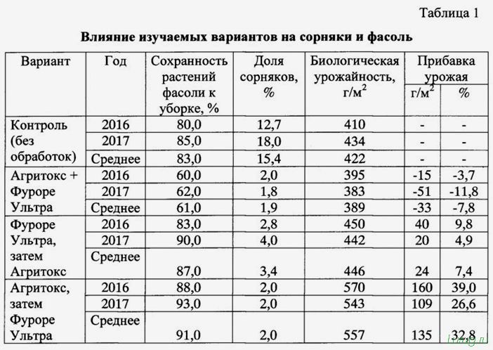 Лучшее средство от сорняков: какой препарат самый эффективный, простые химические средства борьбы