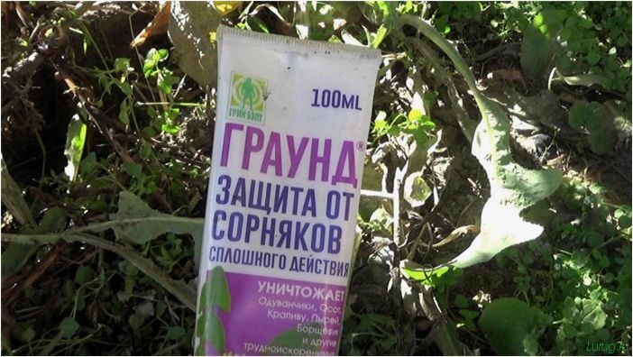 Лучшее средство от сорняков: какой препарат самый эффективный, простые химические средства борьбы