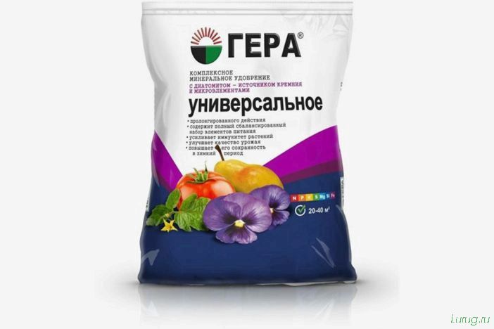 (орхидея, цветет, виды, сорта, фото) Орхидея: когда цветет, виды и сорта, фото цветка, чем поливать, чтобы росла быстро, уход и посадка