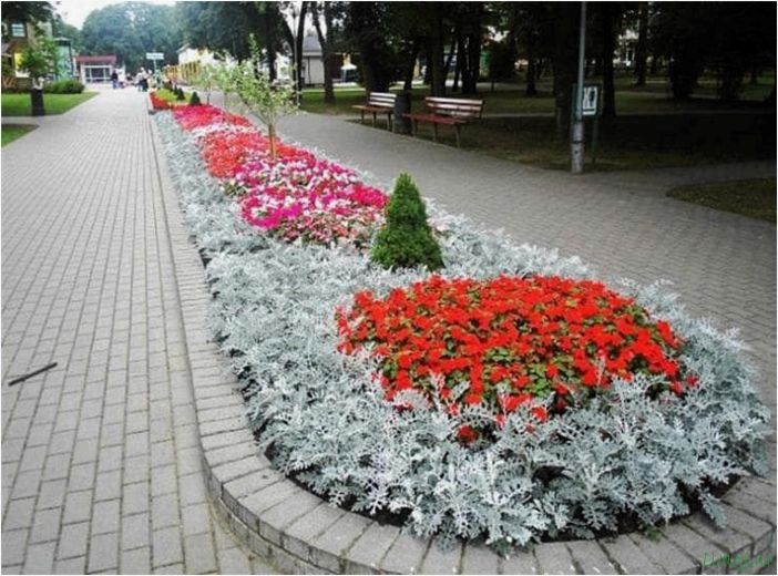 Рабатка: использование в ландшафтном дизайне, виды рабаток из многолетников и однолетников, варианты организации