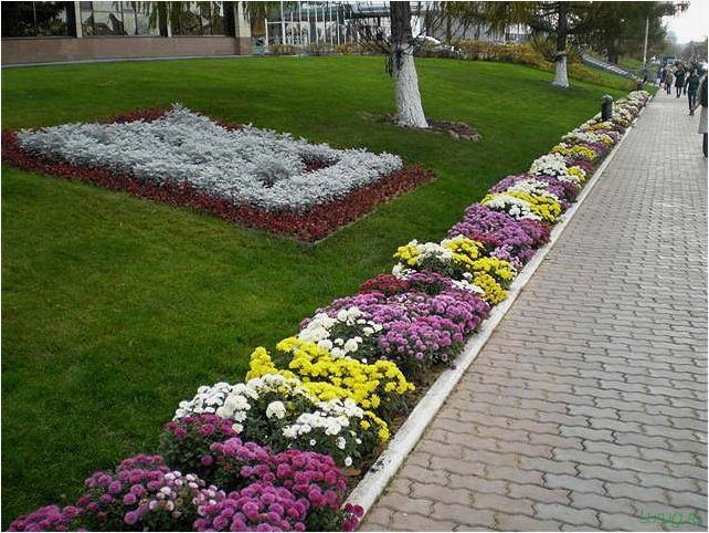 Рабатка: использование в ландшафтном дизайне, виды рабаток из многолетников и однолетников, варианты организации