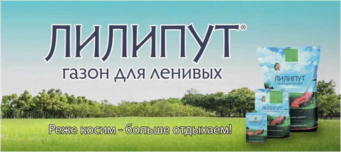 Трава для газона: низкорослая вытесняющая сорняки, примеры с названиями, по которой можно ходить, рекомендации садовника