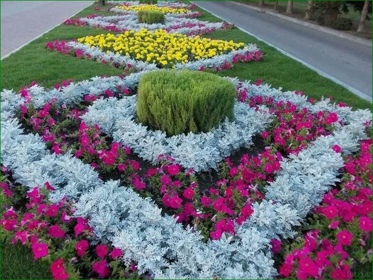 (оформить, клумбу, однолетними, цветами, яркого) Как оформить клумбу однолетними цветами для яркого цветущего сада