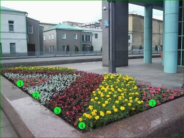 (оформить, клумбу, однолетними, цветами, яркого) Как оформить клумбу однолетними цветами для яркого цветущего сада