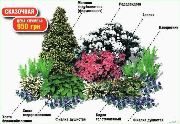 (лучшие, многолетние, цветы, легкого, ухода) Лучшие многолетние цветы для легкого ухода на вашей клумбе