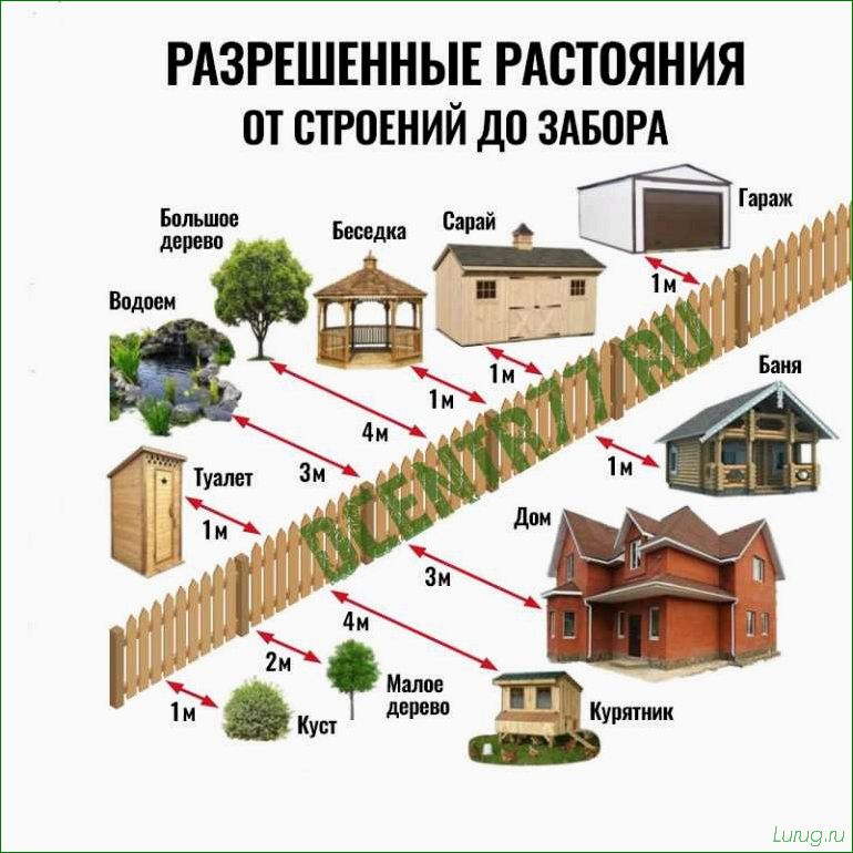 (основные, типы, построек, содержания, живности) Основные типы построек для содержания живности на дачном участке